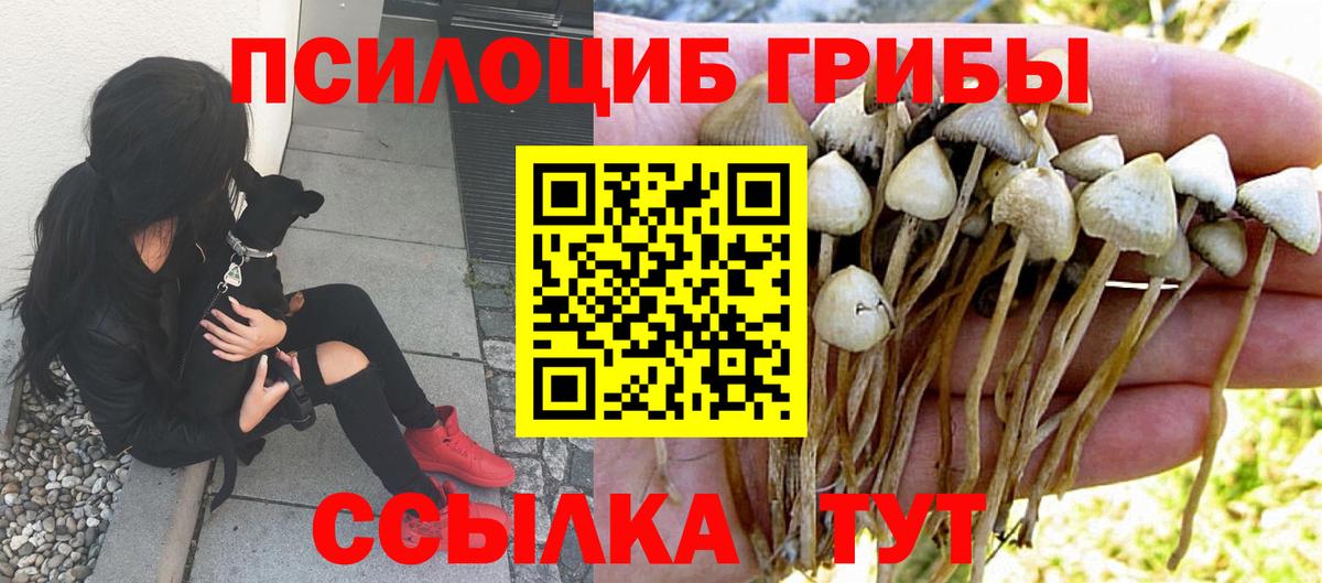 Новомосковск  Псилоцибиновые грибы прущие грибы  Вход с VPN 