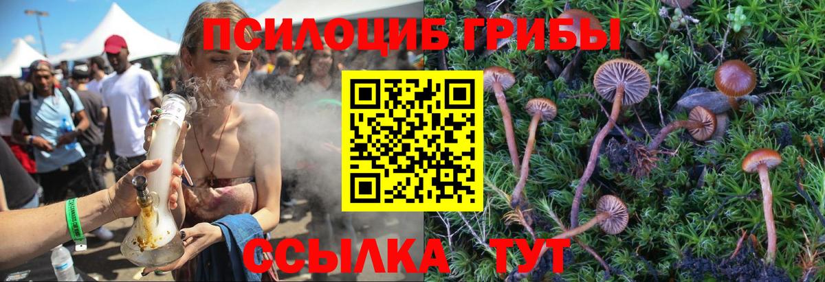 Псилоцибиновые грибы мухоморы Новомосковск